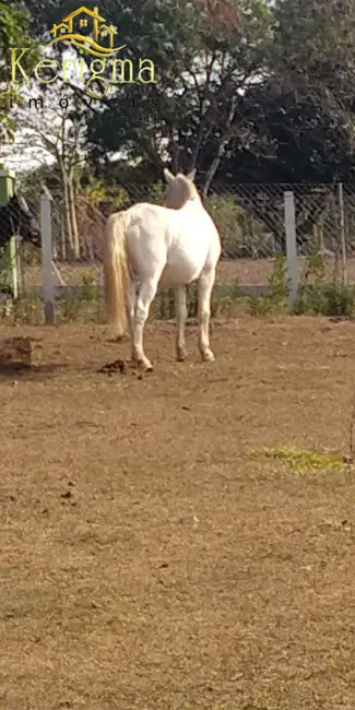 Foto 7 de Chácara com 3 quartos à venda, 270m2 em Salto - SP