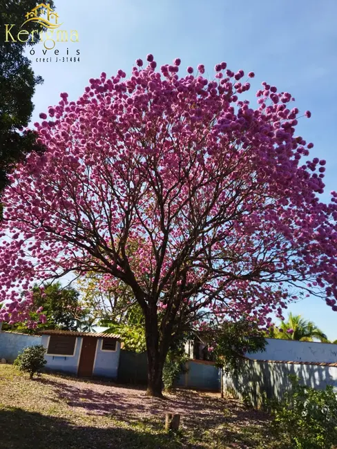 Foto 4 de Terreno / Lote à venda, 1002m2 em Terras de Santa Rosa II, Salto - SP