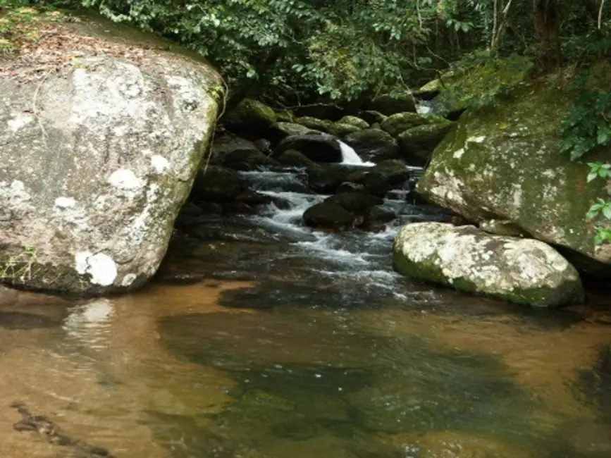 Foto 9 de Terreno / Lote à venda, 49874m2 em Ubatuba - SP