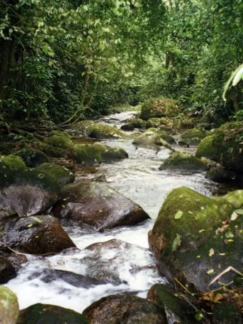 Foto 8 de Terreno / Lote à venda, 49874m2 em Ubatuba - SP