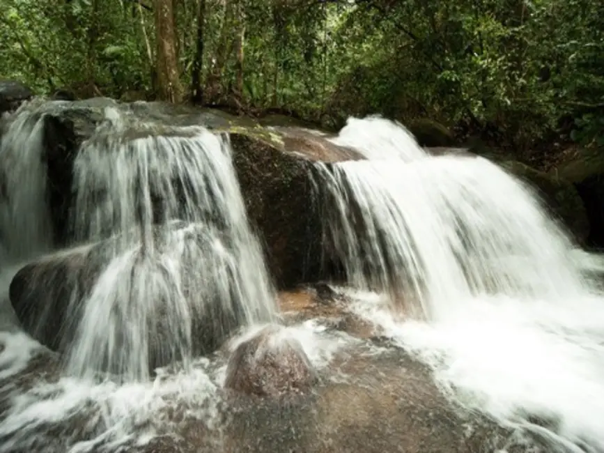 Foto 7 de Terreno / Lote à venda, 49874m2 em Ubatuba - SP