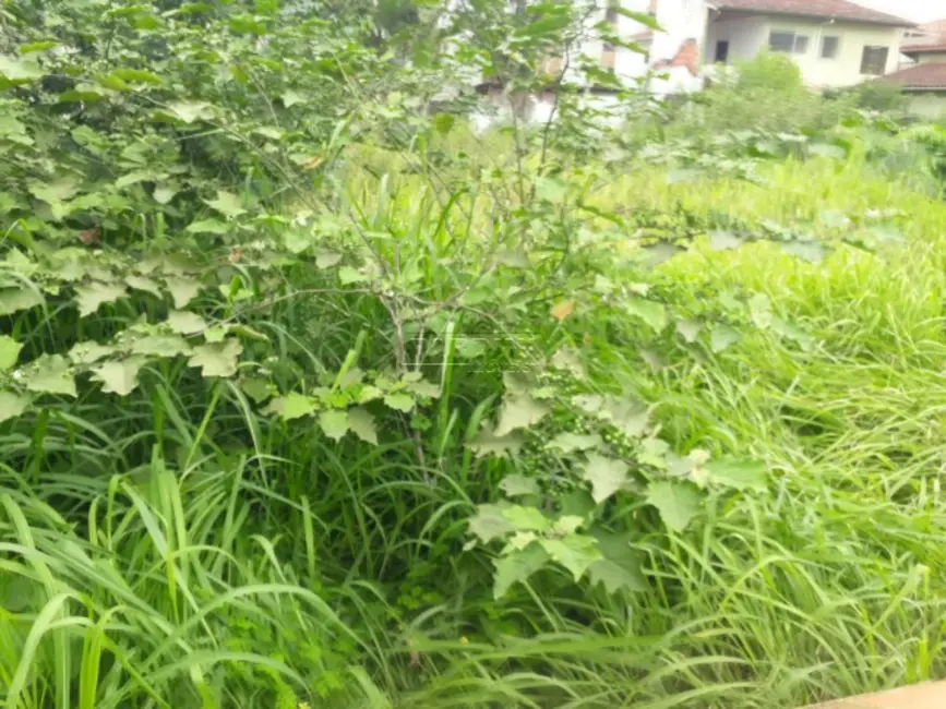 Foto 3 de Terreno / Lote à venda, 625m2 em Ubatuba - SP