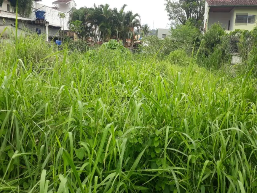 Foto 4 de Terreno / Lote à venda, 625m2 em Ubatuba - SP