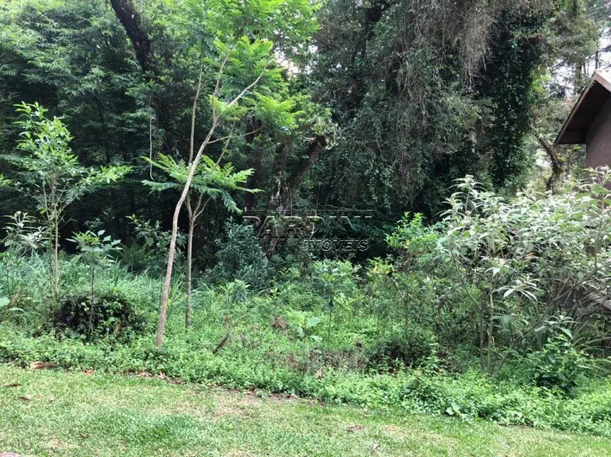 Foto 9 de Terreno / Lote à venda, 2450m2 em Campos Do Jordao - SP