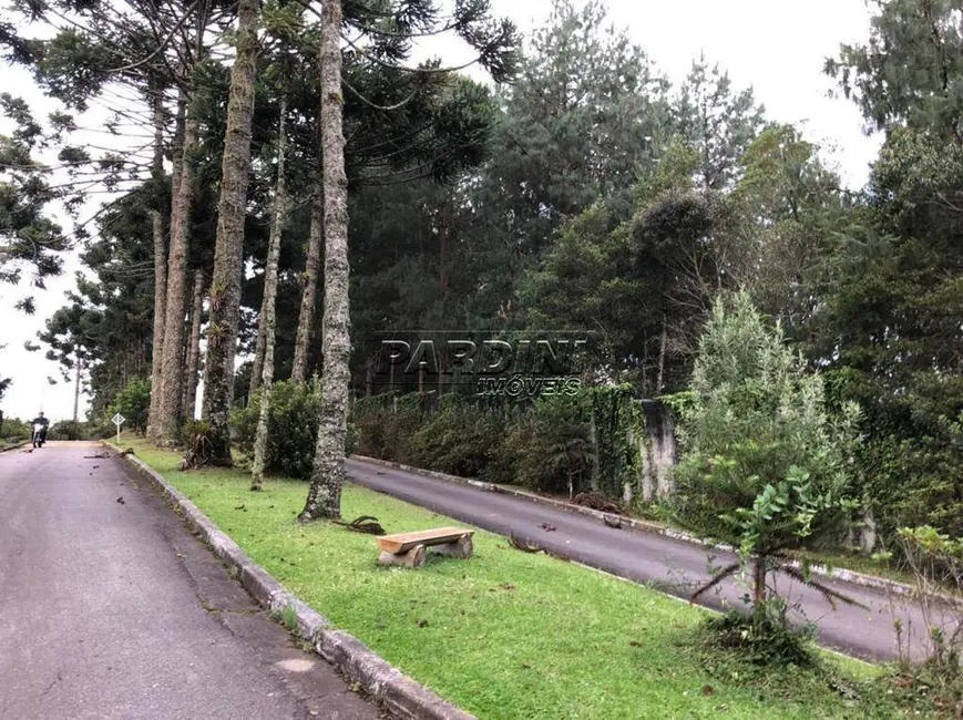 Foto 3 de Terreno / Lote à venda, 2450m2 em Campos Do Jordao - SP