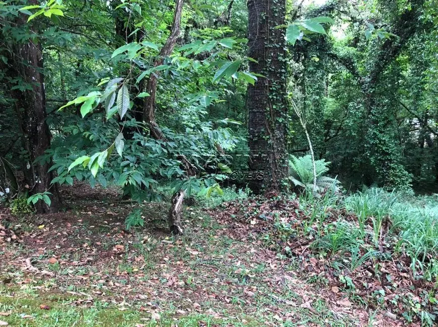 Foto 8 de Terreno / Lote à venda, 2450m2 em Campos Do Jordao - SP