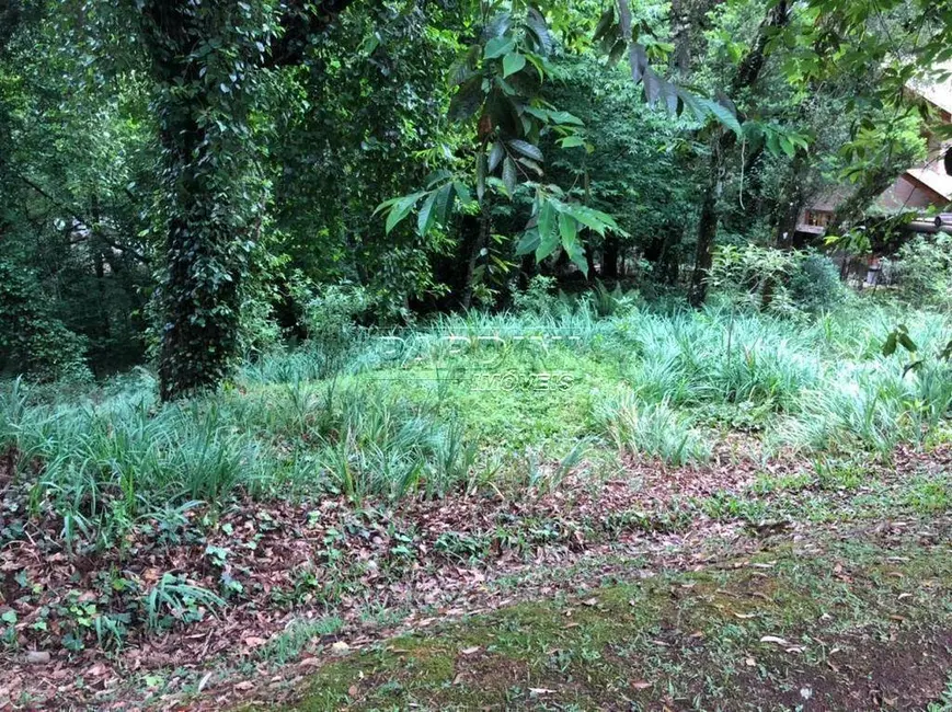 Foto 7 de Terreno / Lote à venda, 2450m2 em Campos Do Jordao - SP
