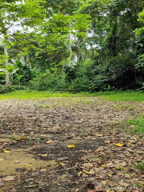 Foto 4 de Terreno / Lote à venda, 810m2 em Ubatuba - SP