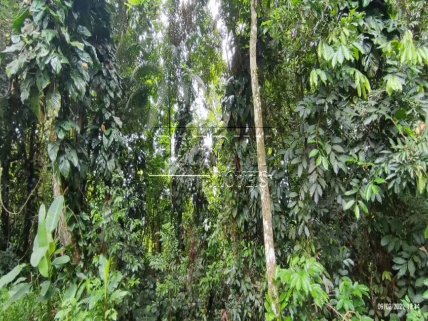 Foto 5 de Terreno / Lote à venda, 810m2 em Ubatuba - SP
