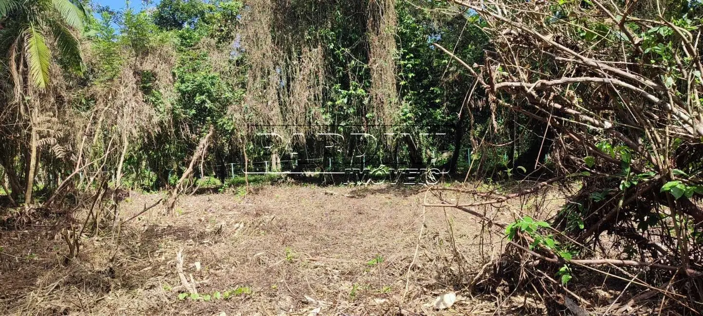Foto 2 de Terreno / Lote à venda em Ubatuba - SP