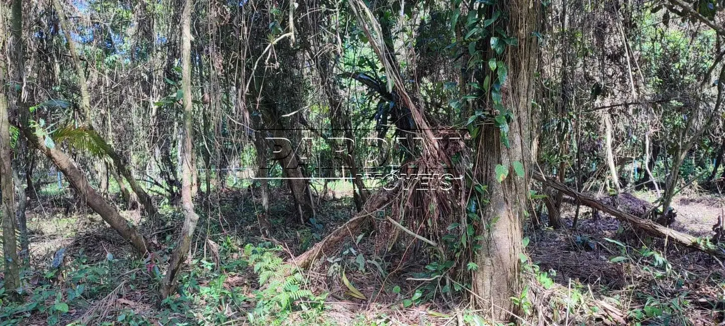 Foto 3 de Terreno / Lote à venda em Ubatuba - SP