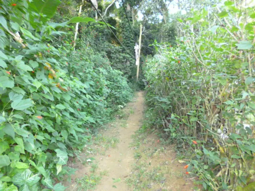 Foto 9 de Terreno / Lote à venda, 3612m2 em Ubatuba - SP