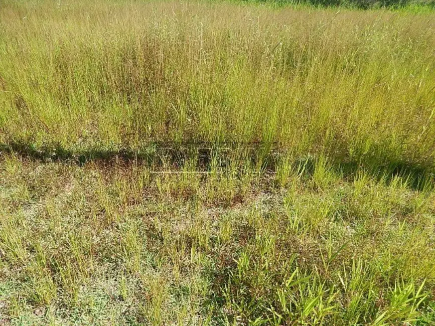 Foto 9 de Terreno / Lote à venda, 3000m2 em Ubatuba - SP