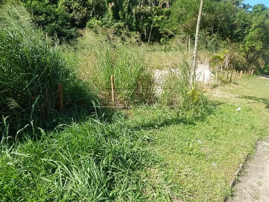 Foto 6 de Terreno / Lote à venda, 3000m2 em Ubatuba - SP