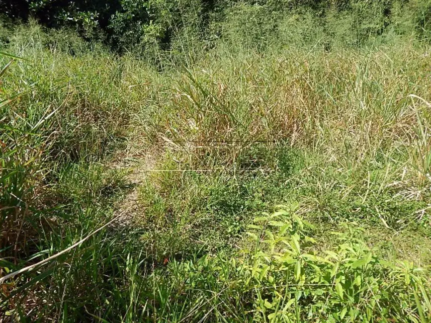 Foto 7 de Terreno / Lote à venda, 3000m2 em Ubatuba - SP