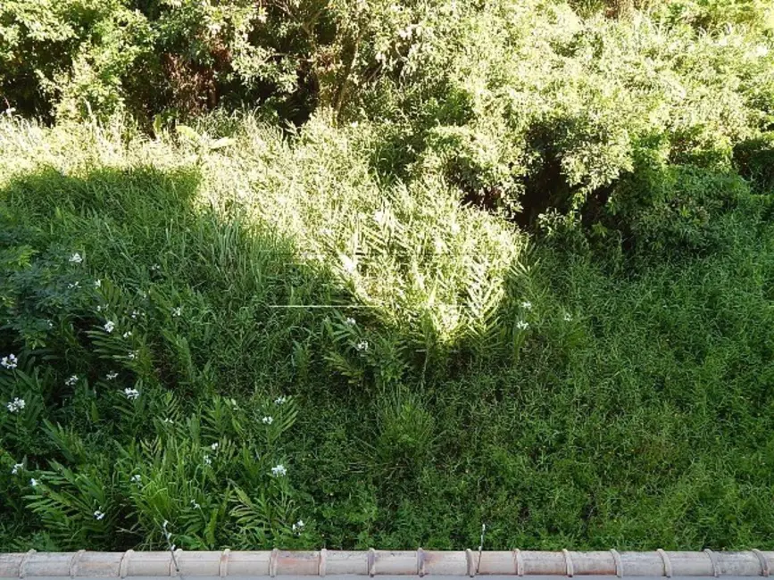 Foto 6 de Terreno / Lote à venda, 2700m2 em Ubatuba - SP