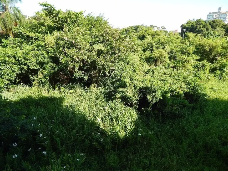 Foto 7 de Terreno / Lote à venda, 2700m2 em Ubatuba - SP