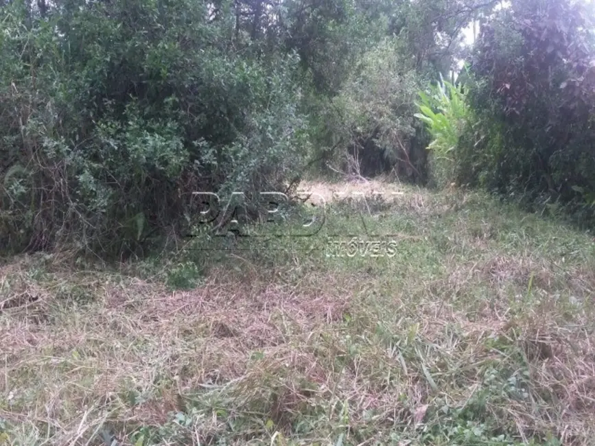 Foto 2 de Terreno / Lote à venda, 1656m2 em Ubatuba - SP