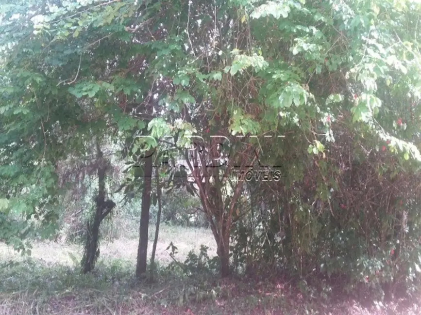 Foto 3 de Terreno / Lote à venda, 1656m2 em Ubatuba - SP