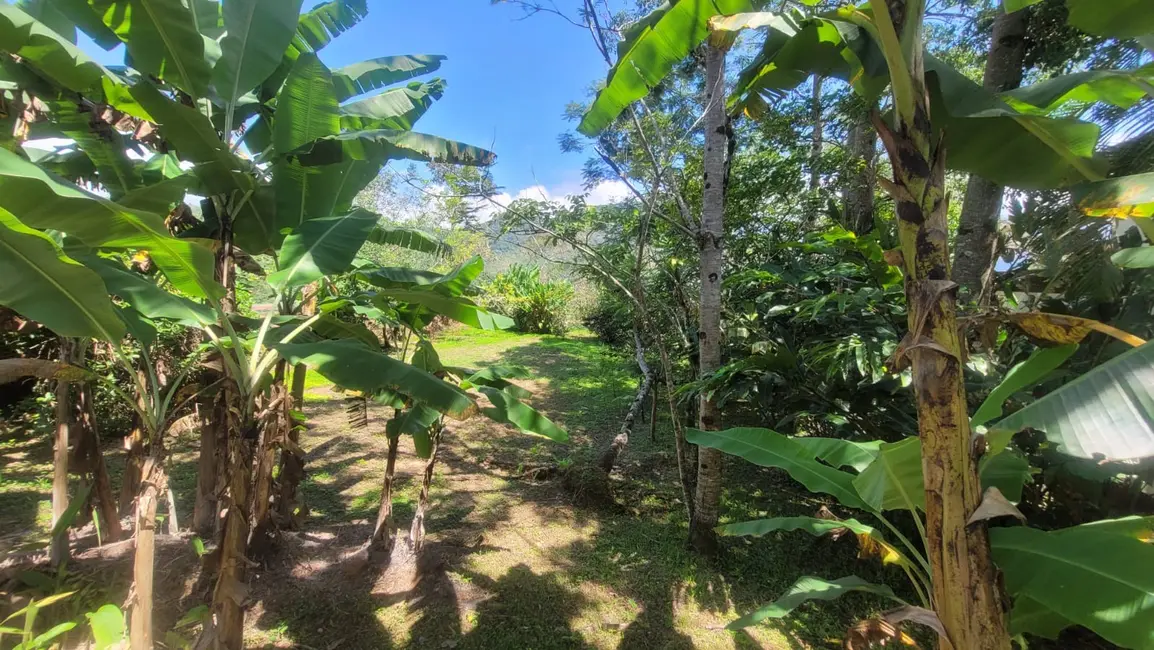 Foto 4 de Terreno / Lote à venda, 2115m2 em Ubatuba - SP