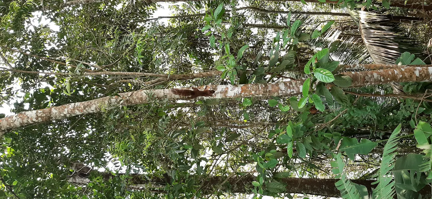 Foto 3 de Casa de Condomínio com 4 quartos à venda, 750m2 em Ubatuba - SP