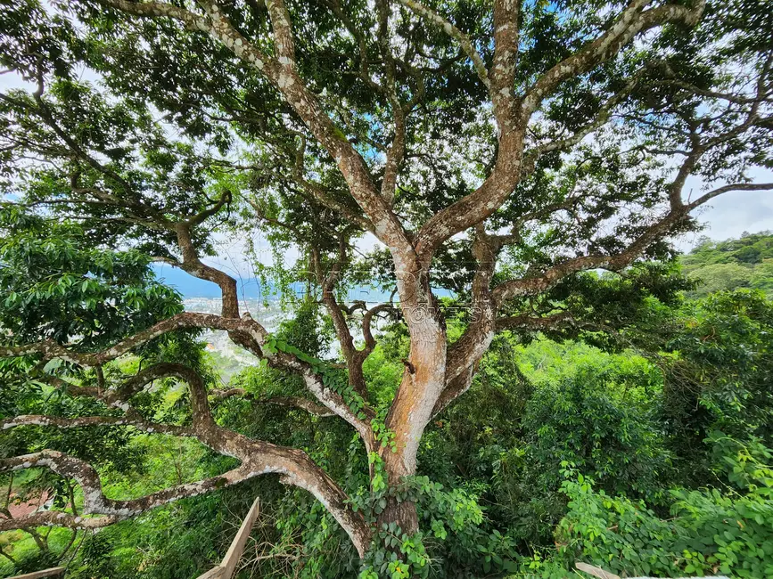 Foto 2 de Terreno / Lote à venda, 840m2 em Ubatuba - SP