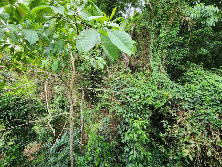 Foto 1 de Terreno / Lote à venda, 840m2 em Ubatuba - SP