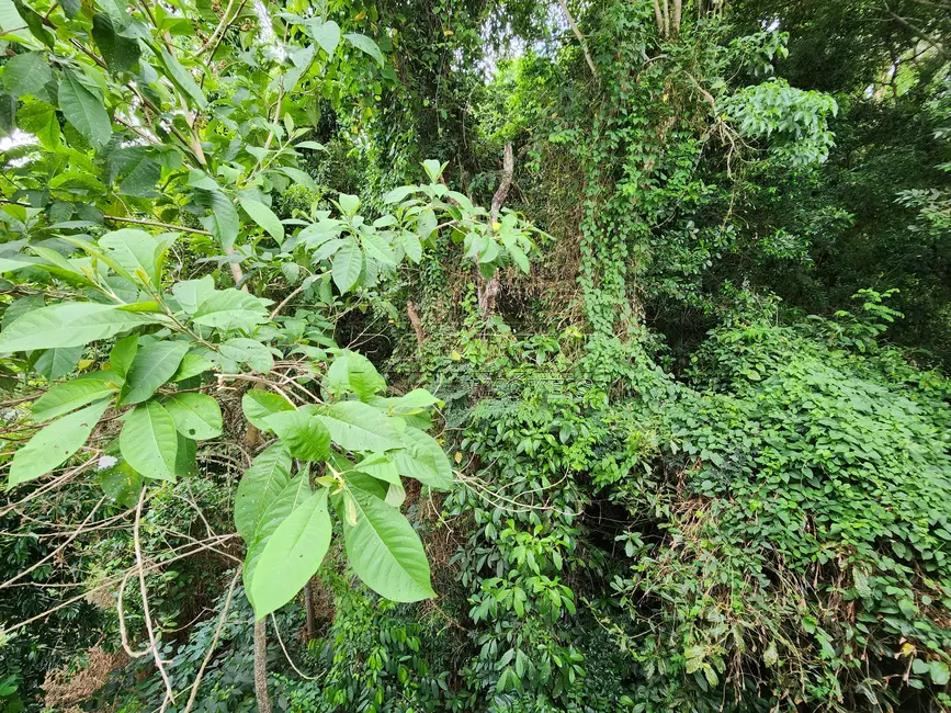 Foto 3 de Terreno / Lote à venda, 840m2 em Ubatuba - SP
