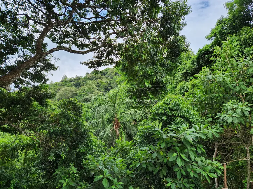 Foto 4 de Terreno / Lote à venda, 840m2 em Ubatuba - SP