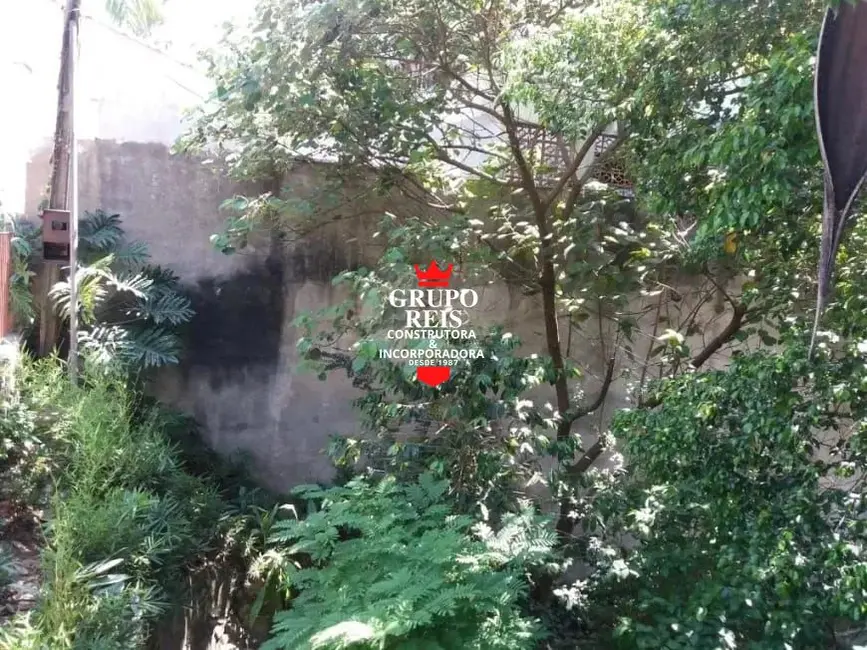 Foto 7 de Terreno / Lote à venda, 500m2 em Vila Albertina, São Paulo - SP