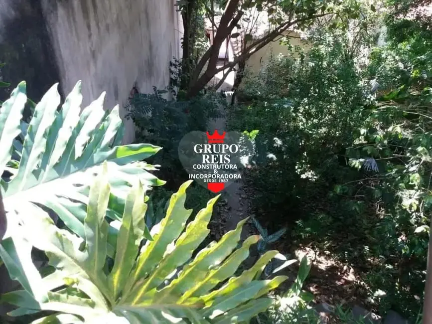 Foto 6 de Terreno / Lote à venda, 500m2 em Vila Albertina, São Paulo - SP