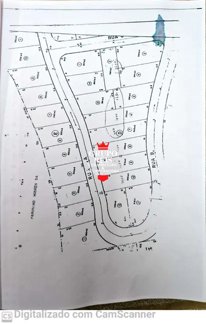 Foto 7 de Terreno / Lote à venda, 8600m2 em Parque Mandaqui, São Paulo - SP