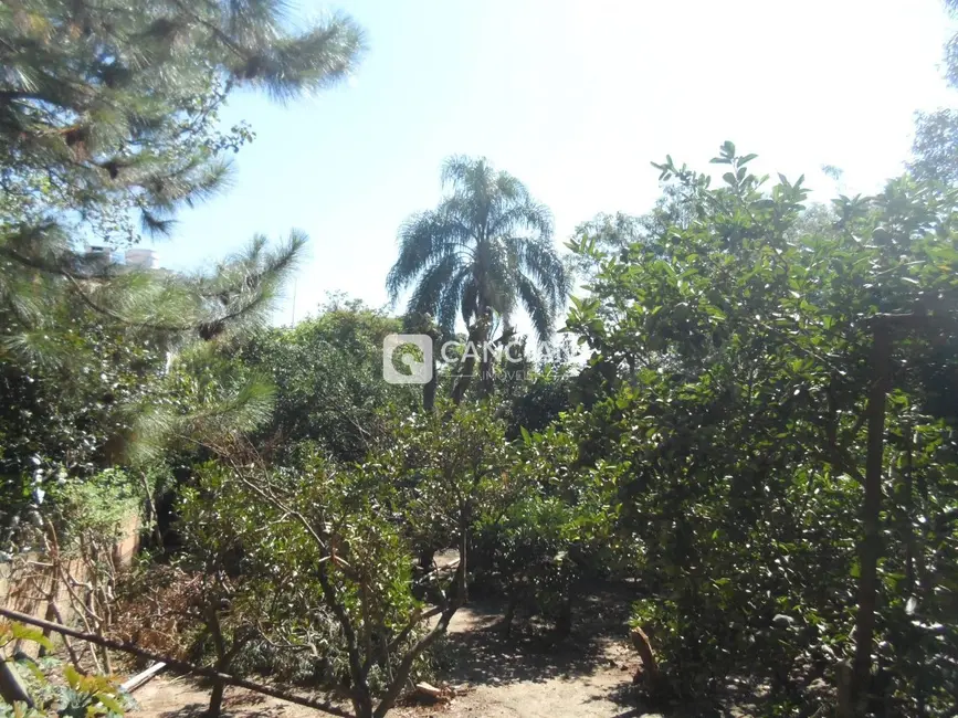 Foto 9 de Casa com 4 quartos à venda, 114m2 em Bonfim, Santa Maria - RS