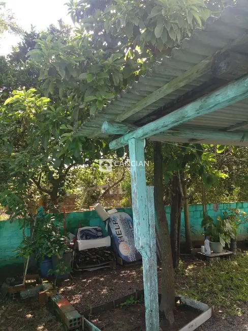 Casa com 3 quartos à venda, 82m2 em São João, Santa Maria - RS - imagem 6 Foto 6 de Casa com 3 quartos à venda, 82m2 em São João, Santa Maria - RS