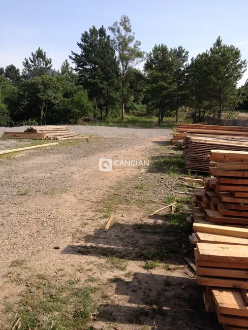 Foto 3 de Terreno / Lote à venda, 3600m2 em Pé de Plátano, Santa Maria - RS