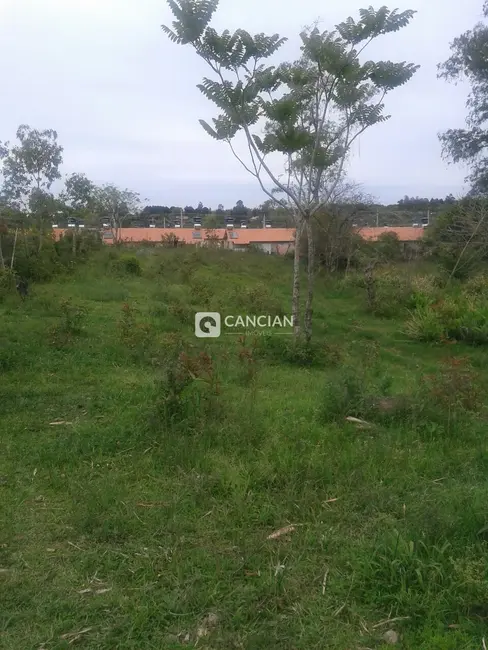 Foto 4 de Terreno / Lote à venda, 2382m2 em Cerrito, Santa Maria - RS
