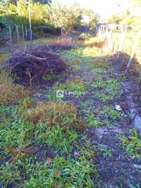 Foto 3 de Terreno / Lote à venda, 1168m2 em Camobi, Santa Maria - RS
