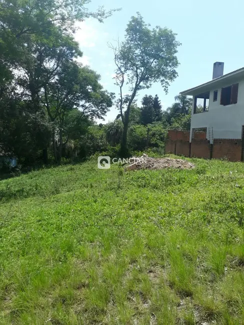 Foto 2 de Terreno / Lote à venda, 352m2 em Chácara das Flores, Santa Maria - RS