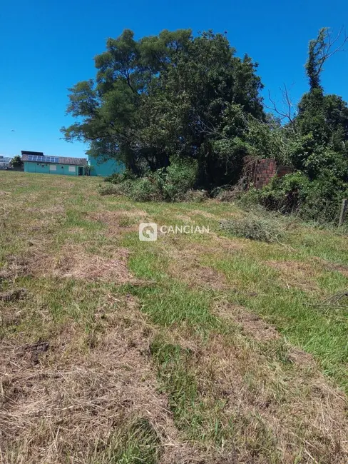 Foto 8 de Terreno / Lote à venda, 10631m2 em Camobi, Santa Maria - RS