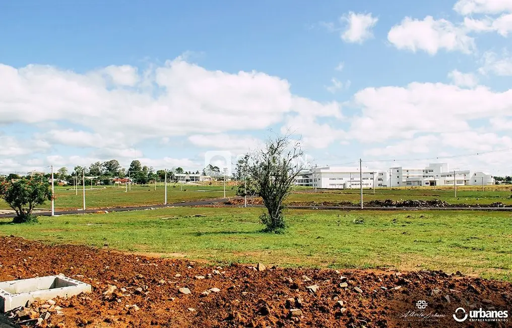 Foto 3 de Terreno / Lote à venda, 315m2 em Pinheiro Machado, Santa Maria - RS