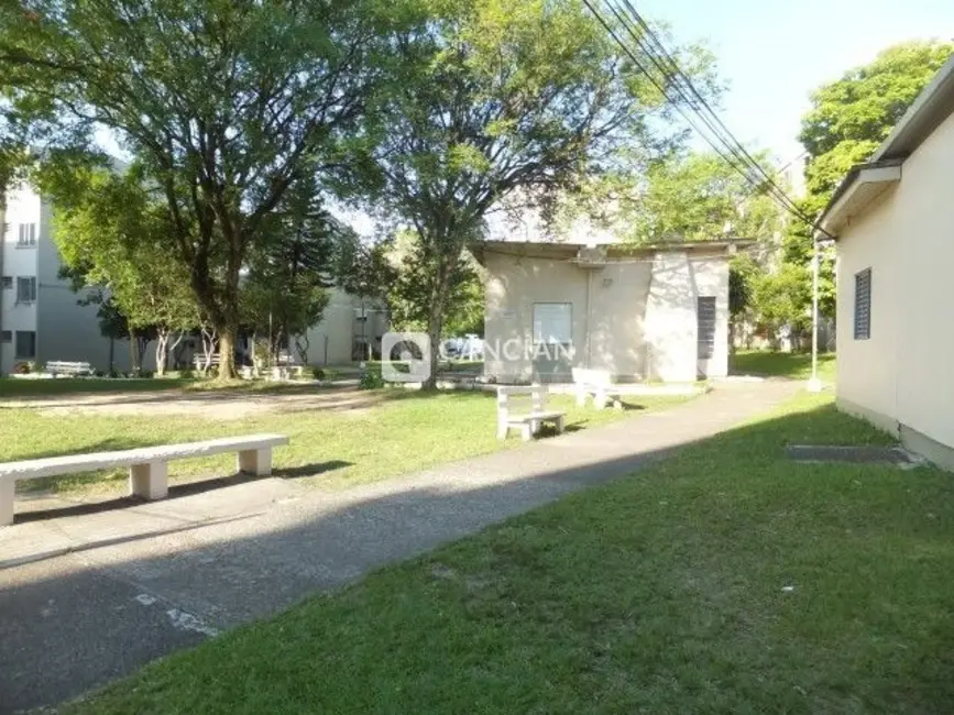 Foto 3 de Apartamento com 3 quartos à venda, 59m2 em Nossa Senhora Medianeira, Santa Maria - RS