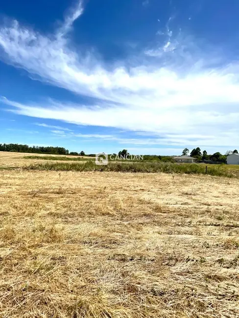 Foto 2 de Terreno / Lote à venda, 19688m2 em Camobi, Santa Maria - RS