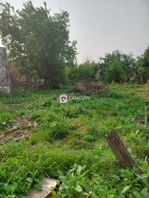 Foto 2 de Terreno / Lote à venda, 350m2 em Camobi, Santa Maria - RS