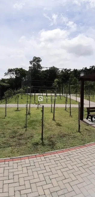 Foto 7 de Terreno / Lote à venda, 300m2 em Tomazetti, Santa Maria - RS