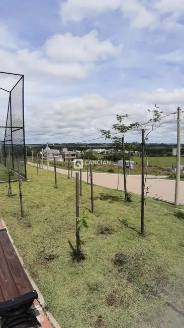 Foto 4 de Terreno / Lote à venda, 300m2 em Tomazetti, Santa Maria - RS