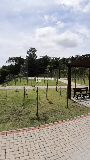 Foto 6 de Terreno / Lote à venda, 300m2 em Tomazetti, Santa Maria - RS