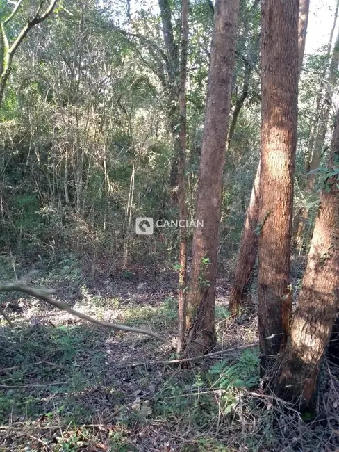 Foto 7 de Terreno / Lote à venda, 17870m2 em Km 3, Santa Maria - RS