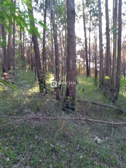 Foto 8 de Terreno / Lote à venda, 17870m2 em Km 3, Santa Maria - RS