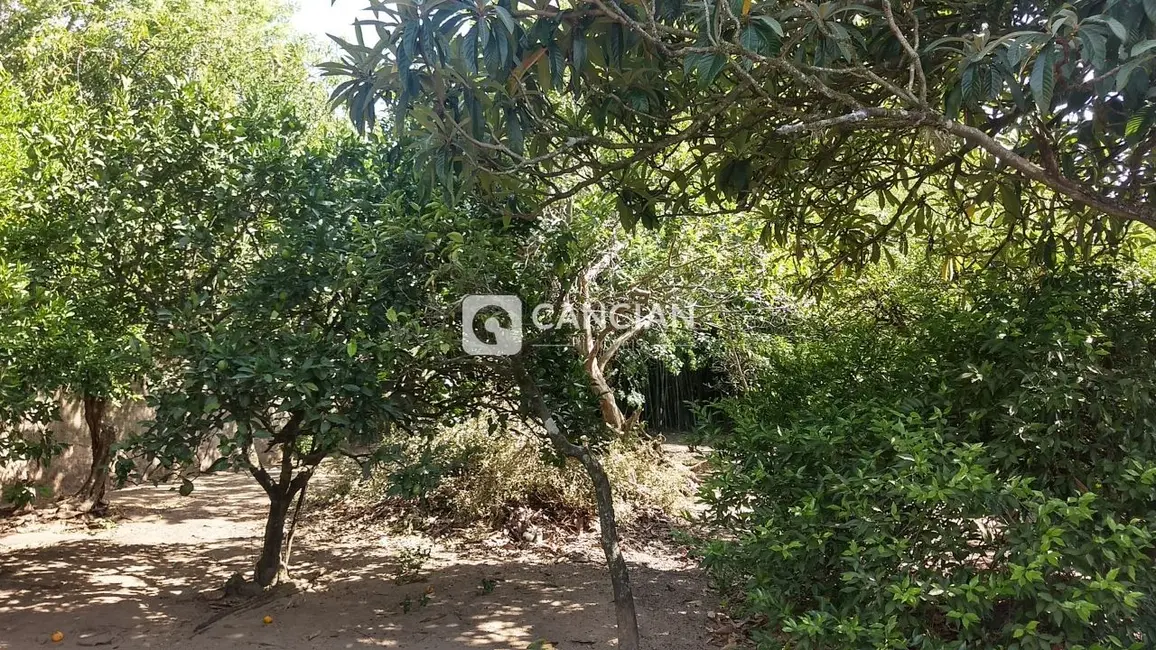 Terreno / Lote à venda, 1155m2 em Presidente João Goulart, Santa Maria - RS - imagem 4 Foto 4 de Terreno / Lote à venda, 1155m2 em Presidente João Goulart, Santa Maria - RS