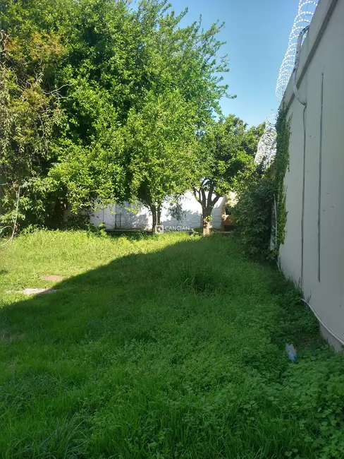 Foto 6 de Terreno / Lote à venda, 342m2 em Santa Maria - RS